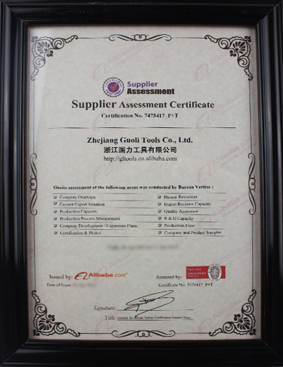 China Alibaba Quality Supplier